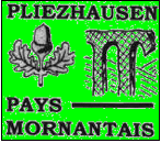 Logo jumelage Pliezhausen